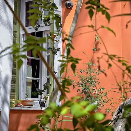 Athens Quinta-3